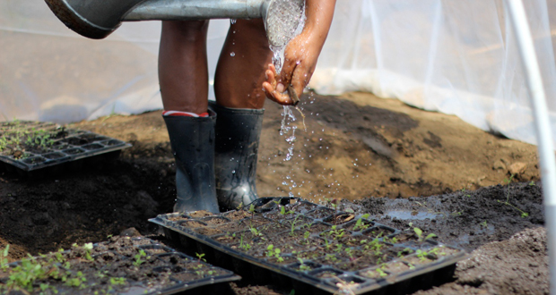 Les enfants participent aussi au projet de ferme pédagogique, visant à leur donner les notions et valeurs de base d’éducation au sein d’un lieu neutre.