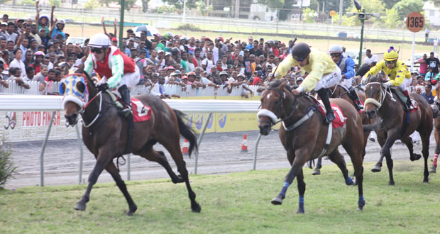 Hippisme – 35e journée : Ghost Dog bat le favori Pegasus Legacy