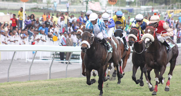 Hippisme - 37e journée : Silver Dice prive Ice Axe de la victoire !