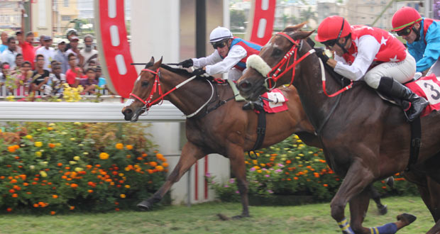 Hippisme – 39e journée : Ségeon termine sa saison en beauté